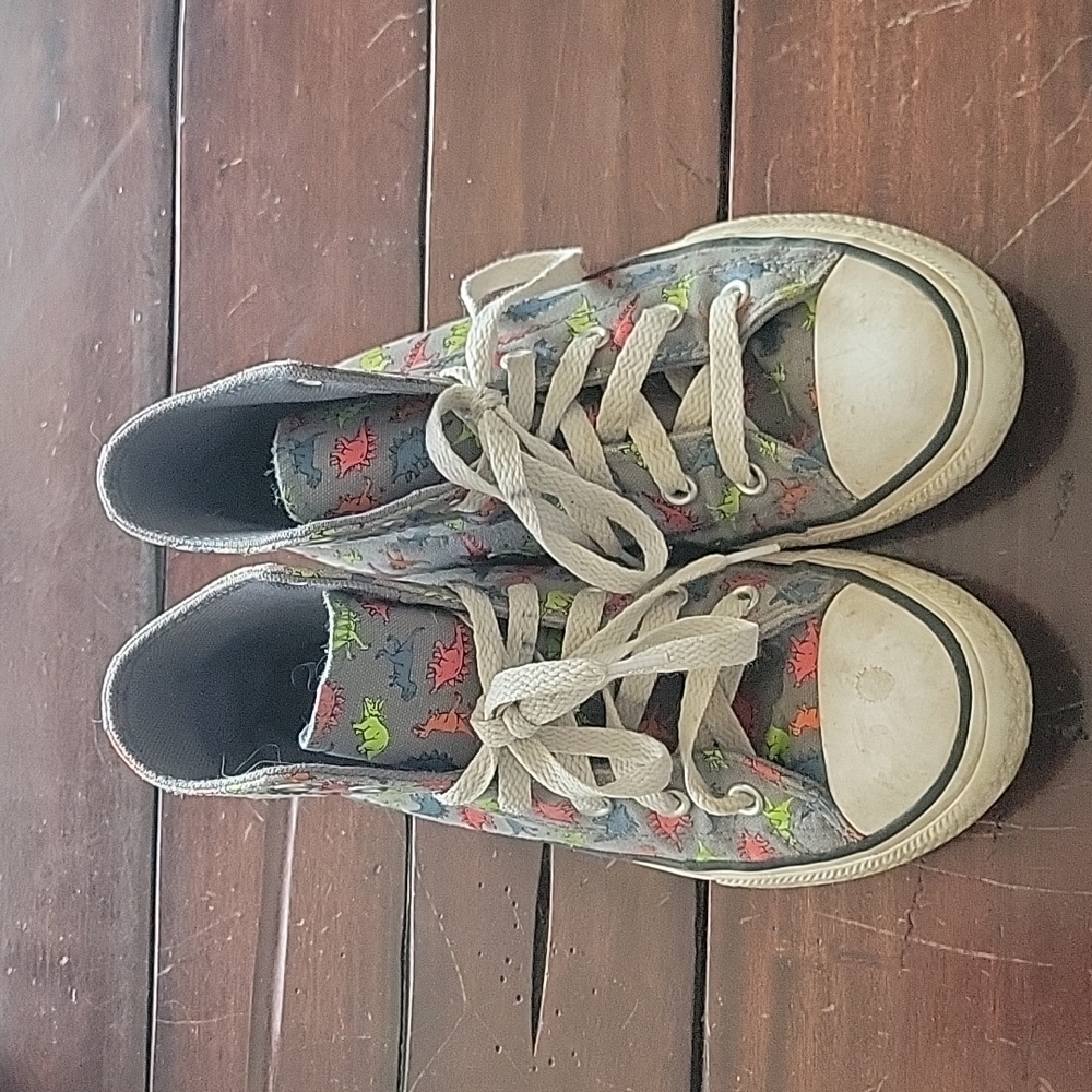 🦖 Boys Dinosaur Hightop Converse 🦕